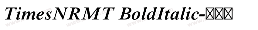 TimesNRMT BoldItalic字体转换